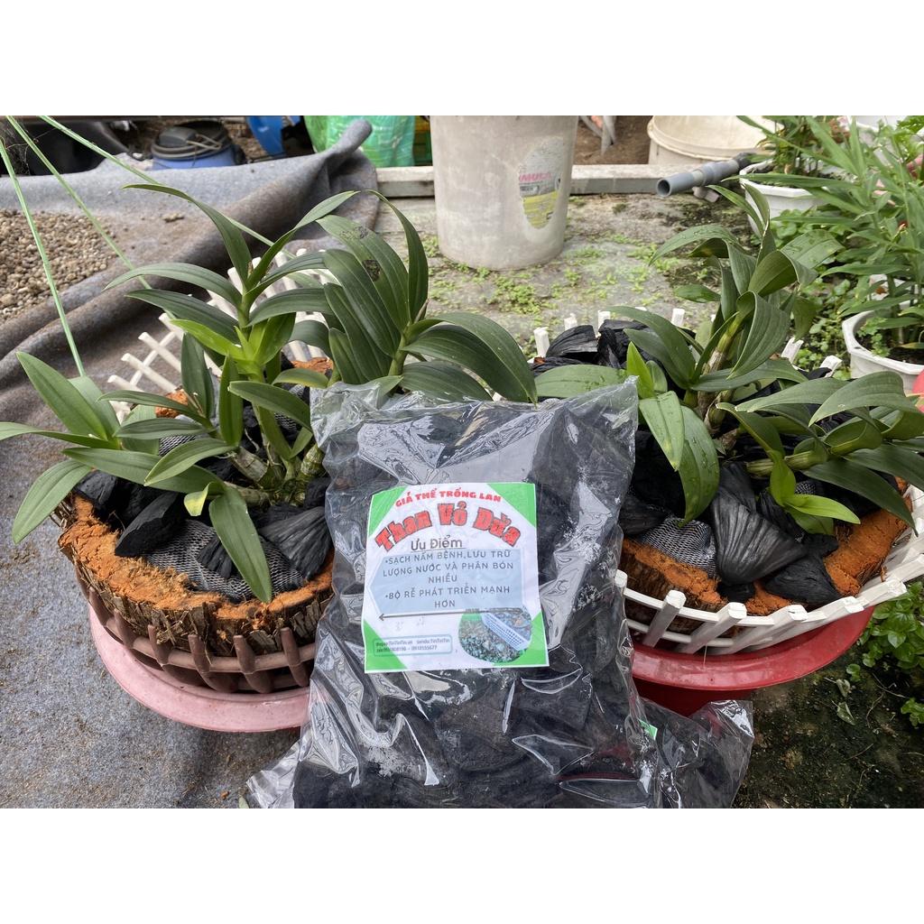 Giá thể trồng lan