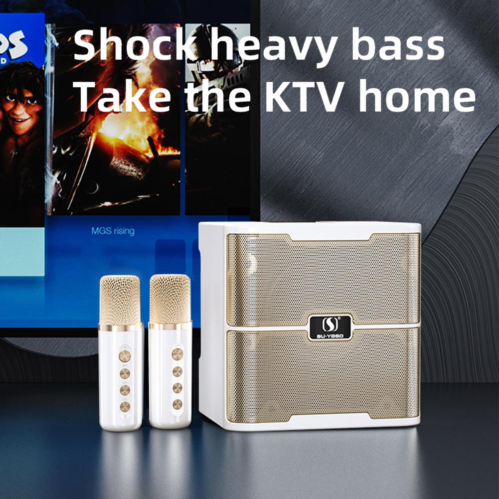 Bộ Âm Thanh Gia Đình KTV Micro Kép Máy Karaoke Loa Bluetooth Không Dây Tích Hợp Máy Hát Color: Ys-219 White