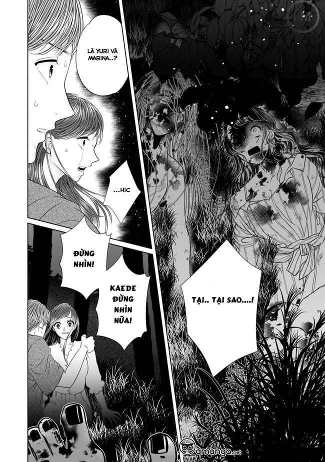 island - biệt đảo chapter 4 23