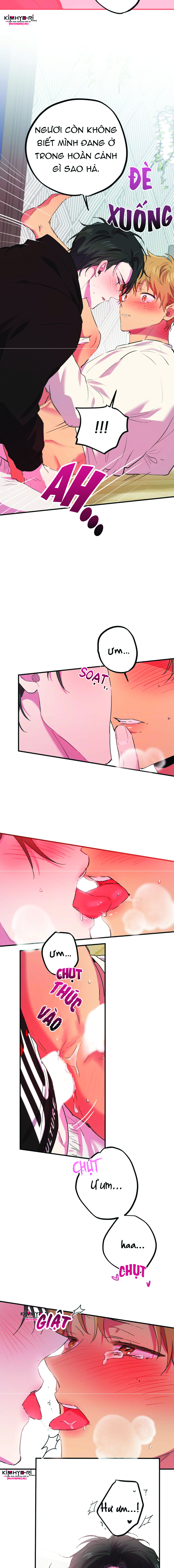 những chú thỏ của hapypy chapter 9 9