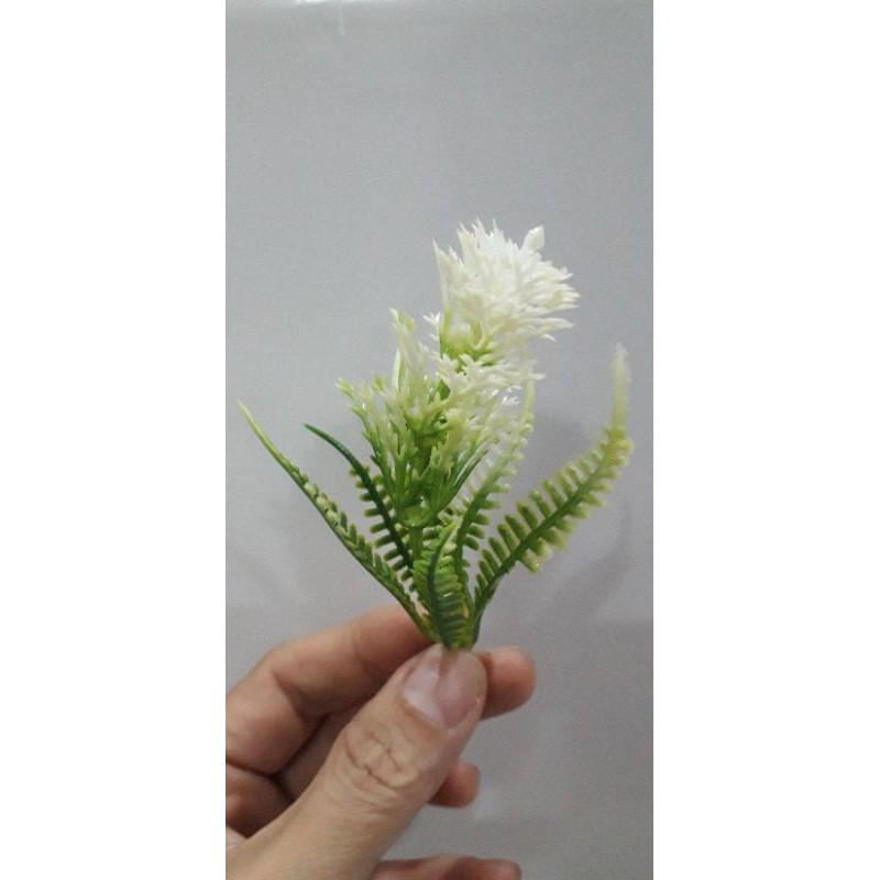 100gr Cỏ điểm ký trộn mẫu hoặc 1 mẫu