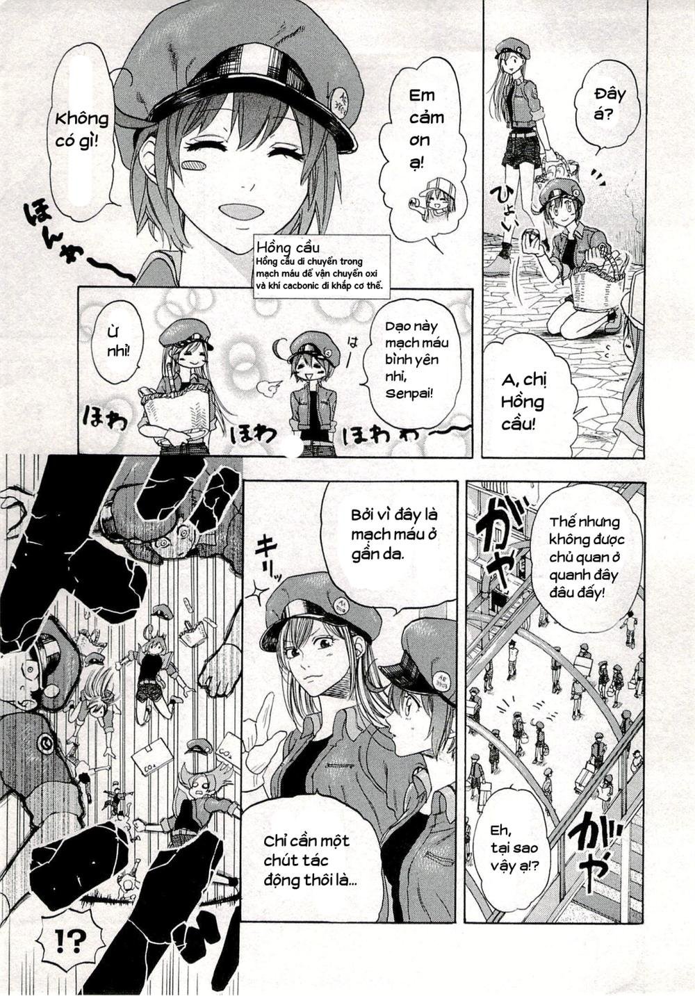 hataraku saibou! chapter 4 4