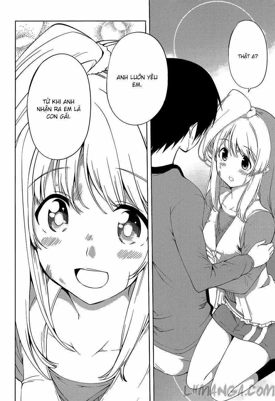 imasugu oniichan ni imouto datte iitai chapter 15 39