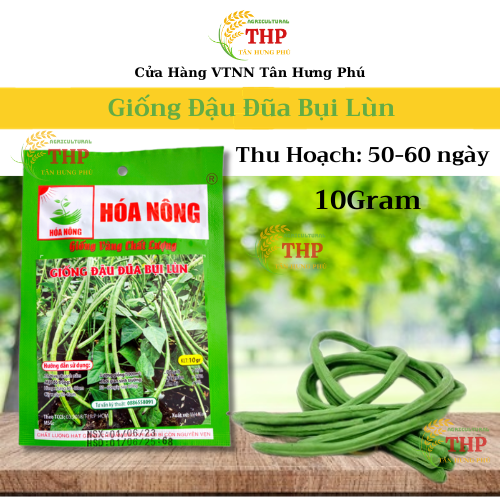 Hạt giống Đậu Đũa Bụi Lùn gói 10gr