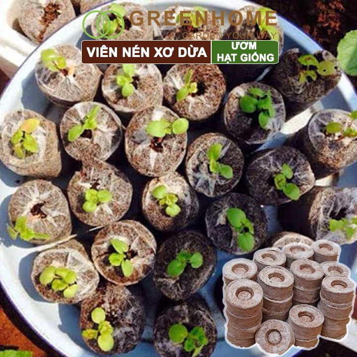 Viên nén xơ dừa ươm hạt giống, trồng cây, ươm hạt, ươm cây giống, trồng dâu tây |Greenhome