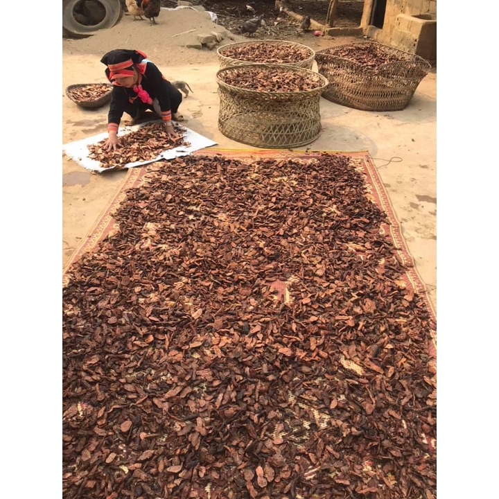 Cao hà thủ ô đỏ 100gram