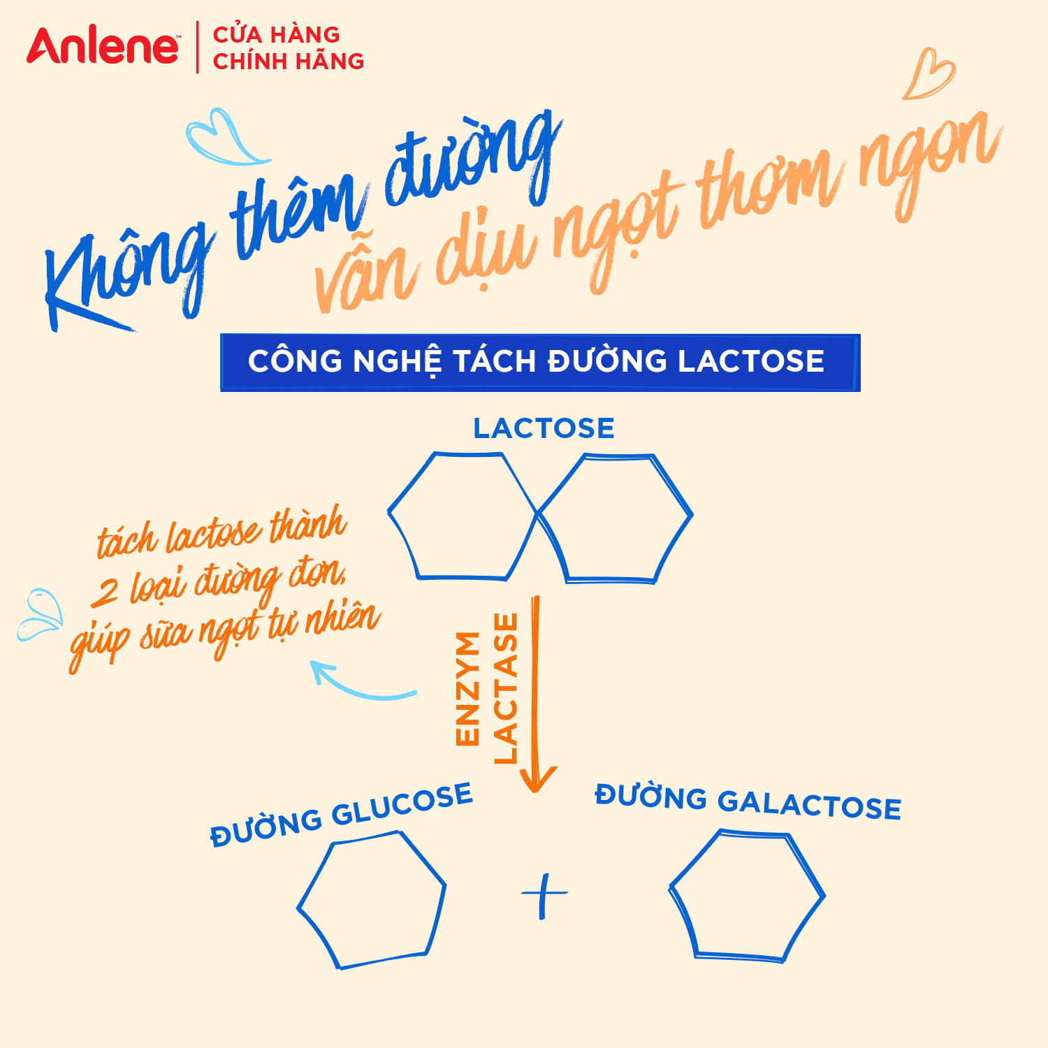 Thùng 18 hộp sữa Anlene không đường Lactose vị hạnh nhân (18 x 180ml)