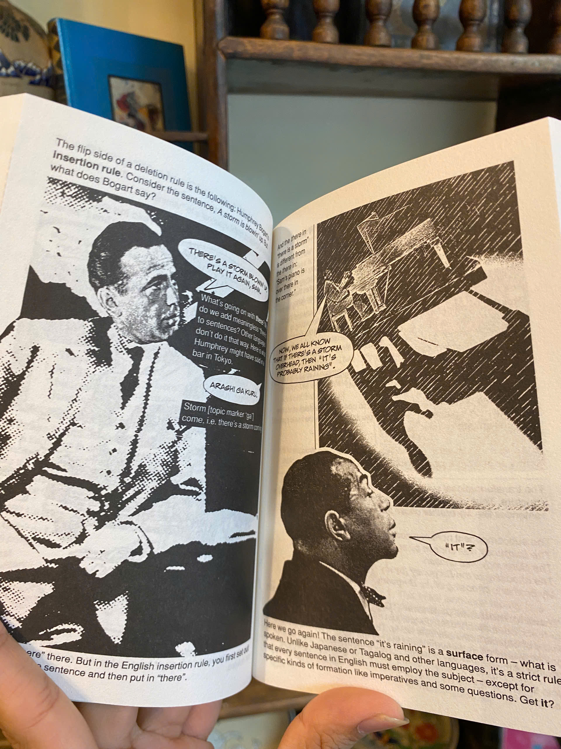 Sách - Introducing Chomsky: A Graphic Guide by John Maher | Philosophy Nonfiction / Ngoại văn