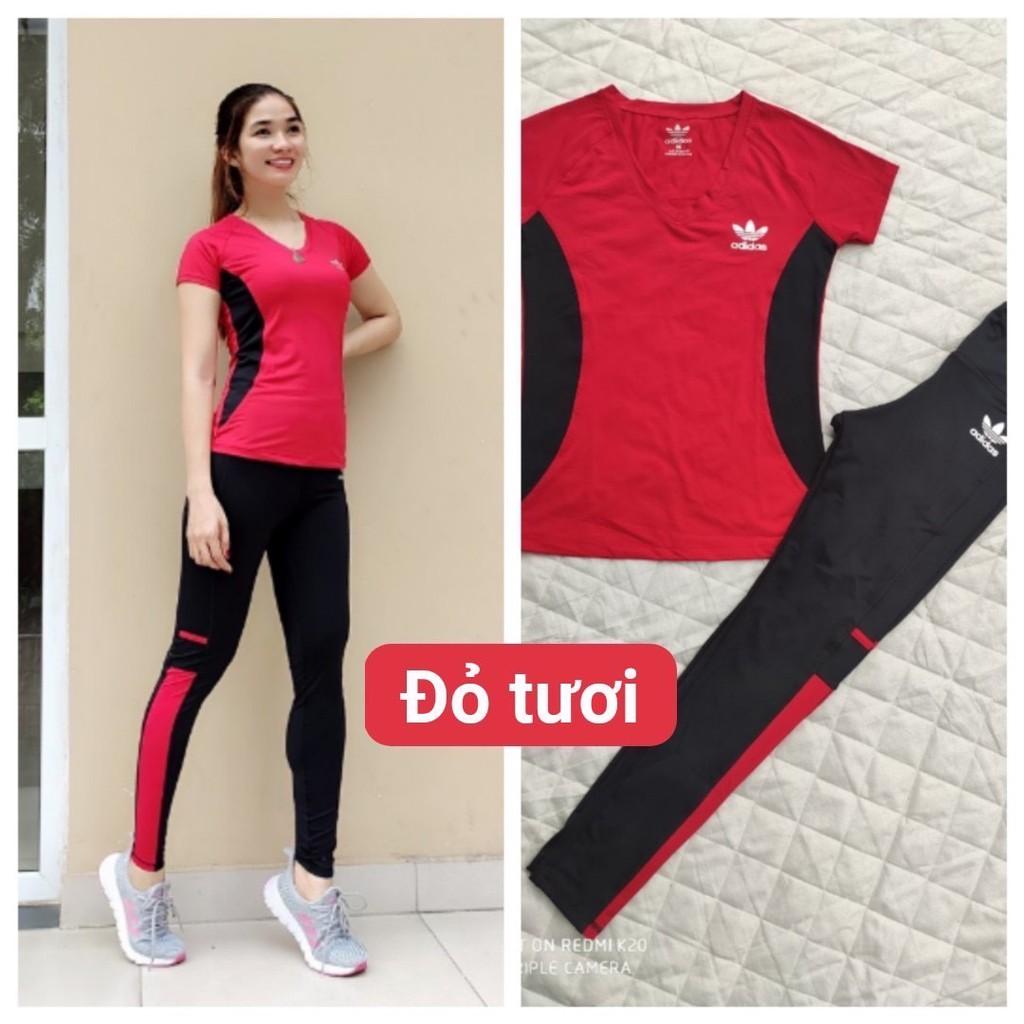 Set Đồ Tập Nữ Phủ Bụng Tập Thể Thao Gym Yoga Cao Cấp Nhiều Màu