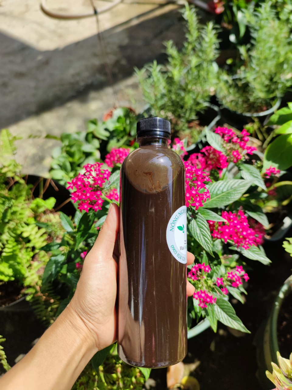 Chai 500ml - Phân bón cao cấp cho hoa hồng