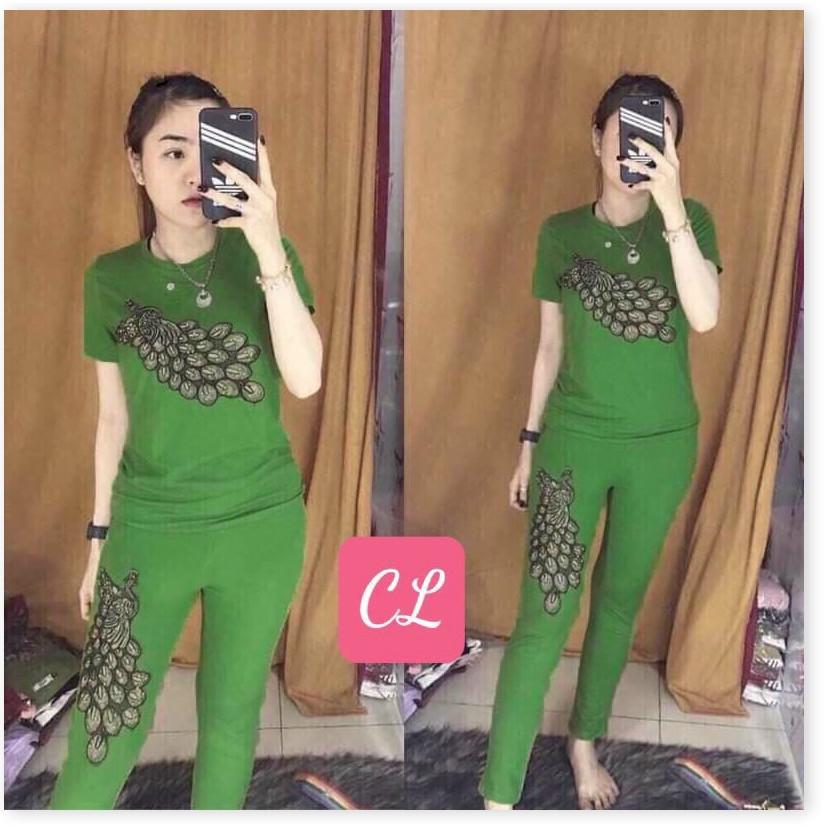 SET ĐỒ BỘ NỮ THUN,CHẤT LIỆU VÃI THOÁNG MÁT VÀ CO GIẢN 4C TRANG NEMO 36 FASHION