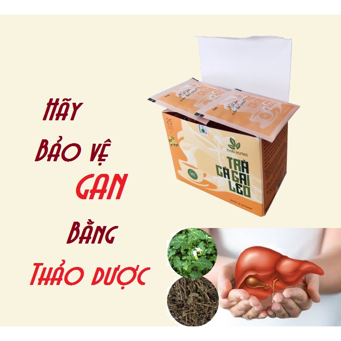 Trà thảo dược cao cấp Thái Hưng: CÀ GAI LEO