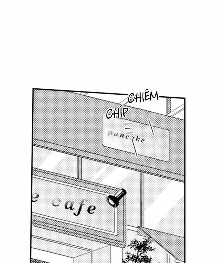 giả vờ ngủ cũng không ngăn được anh ấy chapter 15 5