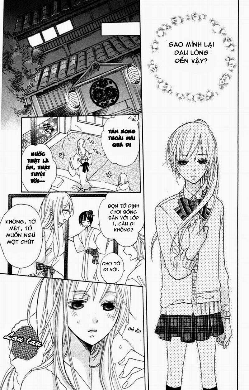 hoa hồng hoang dã chapter 4 19