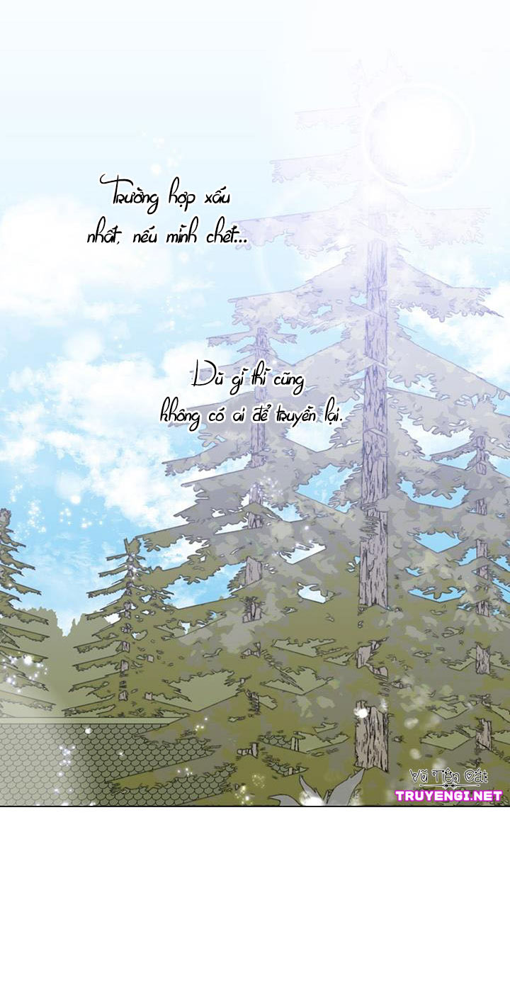 elizabeth chapter 13 8