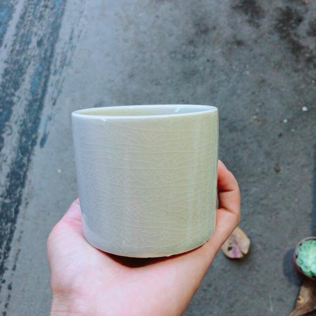 Chậu Trồng Cây