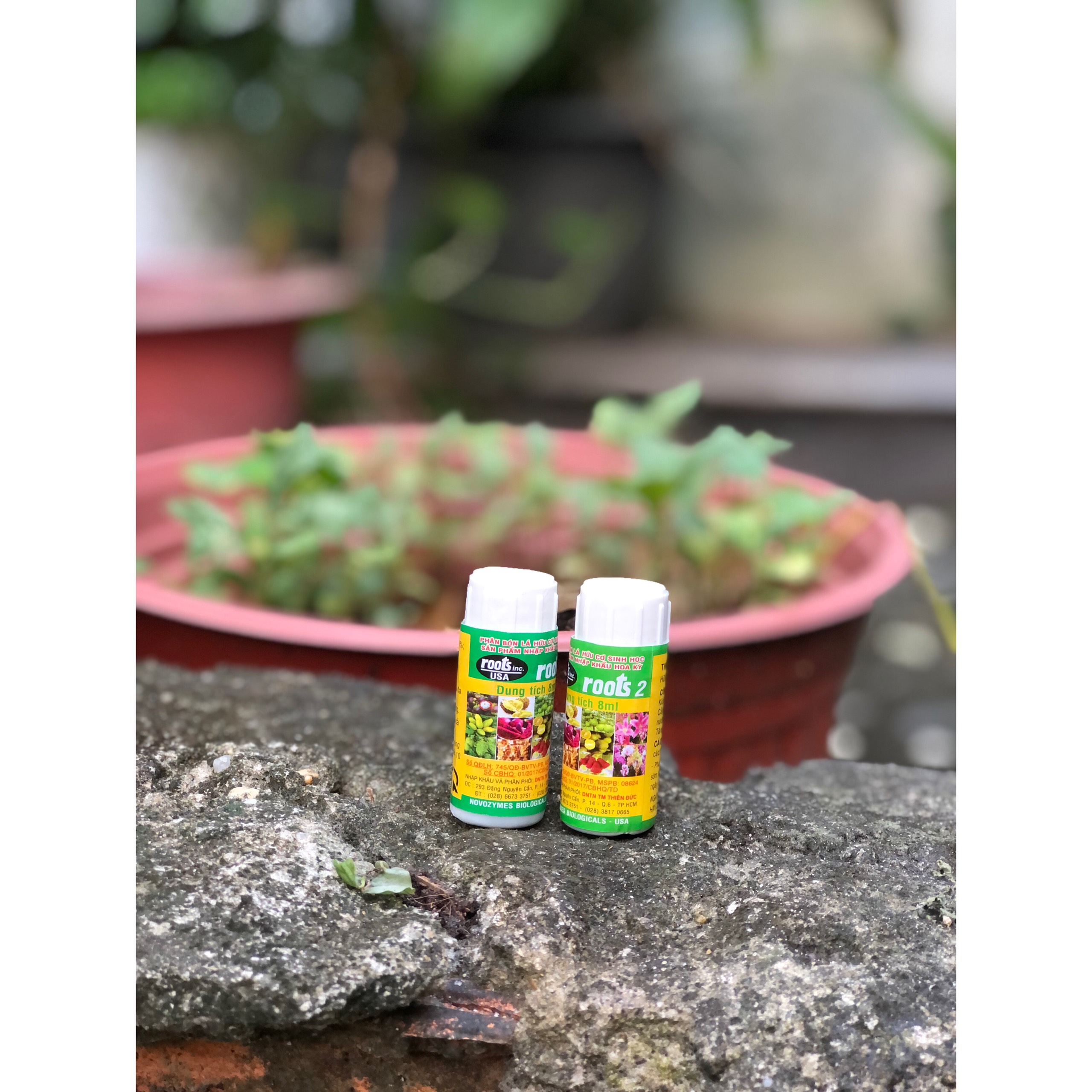 Phân bón lá cao cấp kích rễ Roots 2 nguyên liệu nhập USA - chai - 100ml