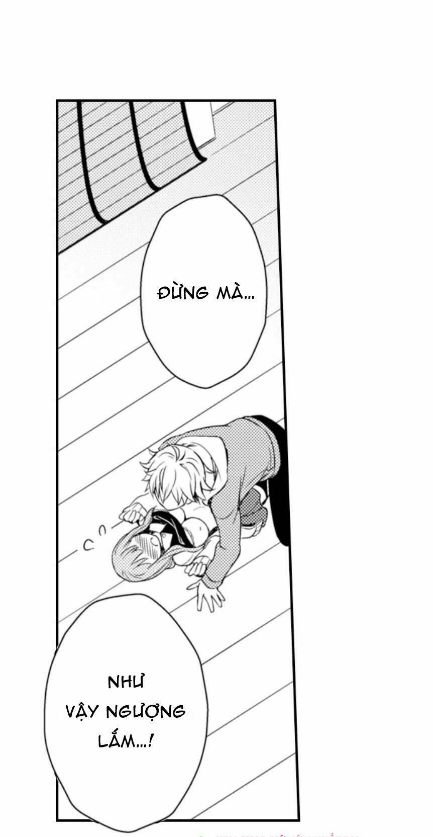 cô dâu cửu vỹ hồ chapter 2 26