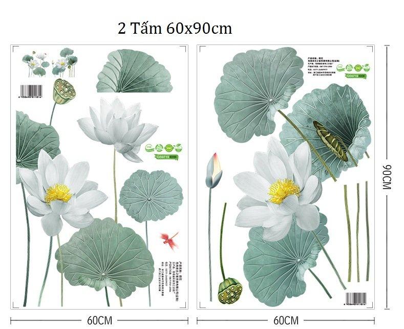 DECAL DÁN TƯỜNG ĐẦM SEN XANH NHẠT