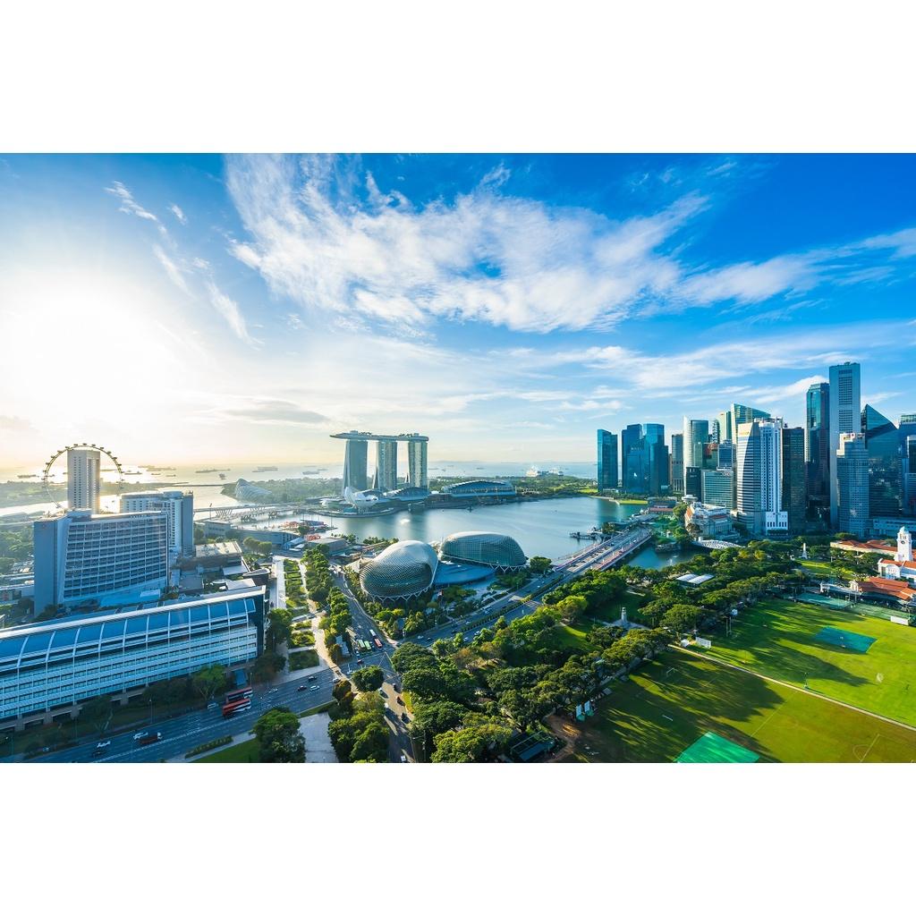 Xếp hình 1500 mảnh-Singapore