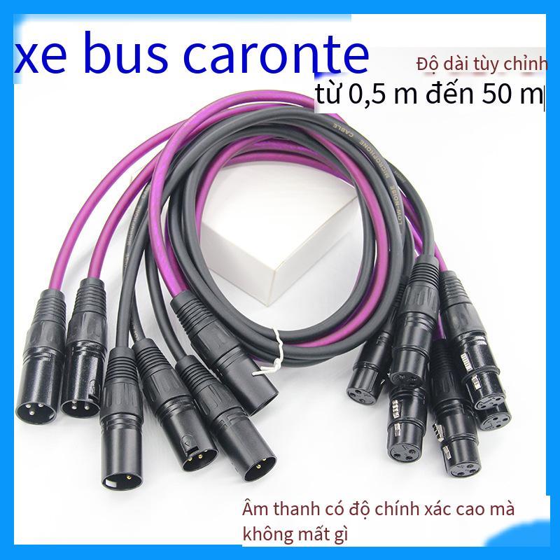 Ưu đãi đặc biệt XLR cân bằng nam và nữ Bộ trộn dòng Canon effector bộ khuếch đại công suất đường kết nối đường mở rộng micrô sang đường công cộng hoa sen