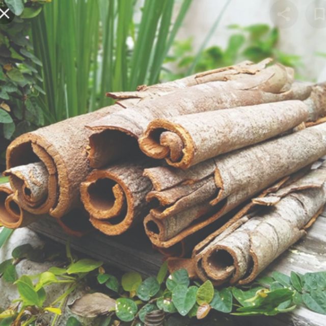 Vỏ Quế Sấy Khô 500g