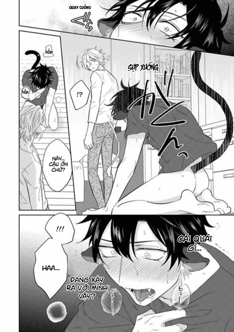 playboy beast - cuộc chơi của bán yêu chapter 1 22