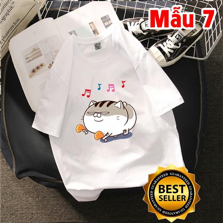  AlbumÁo Thun Unisex Mèo Ami Bụng Bự To Khổng Lồ Đẹp Giá Rẻ