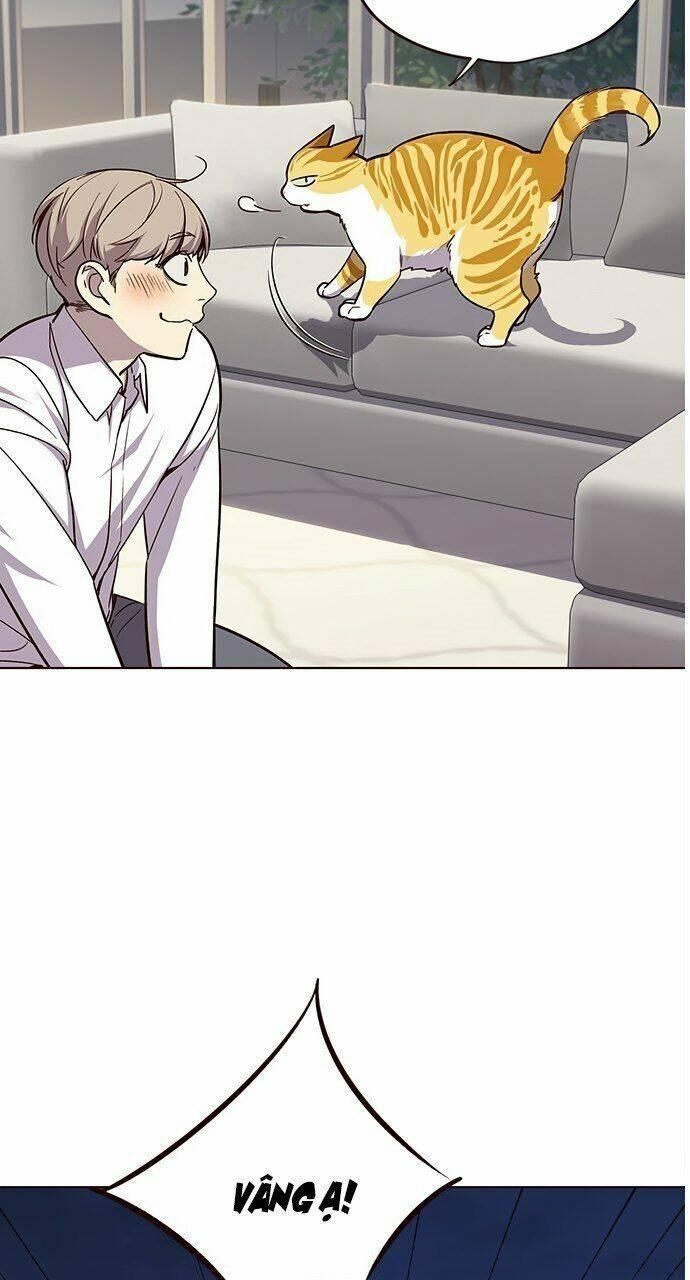 biến thân thành mèo chapter 21 56
