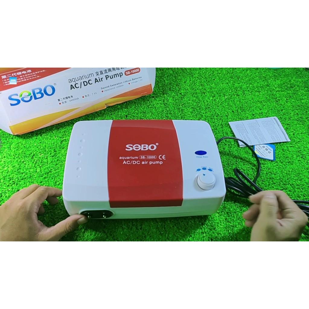 Máy sủi khí tích điện SB-10000 công suất lớn 12W + 2 dây sủi + 2 quả sủi