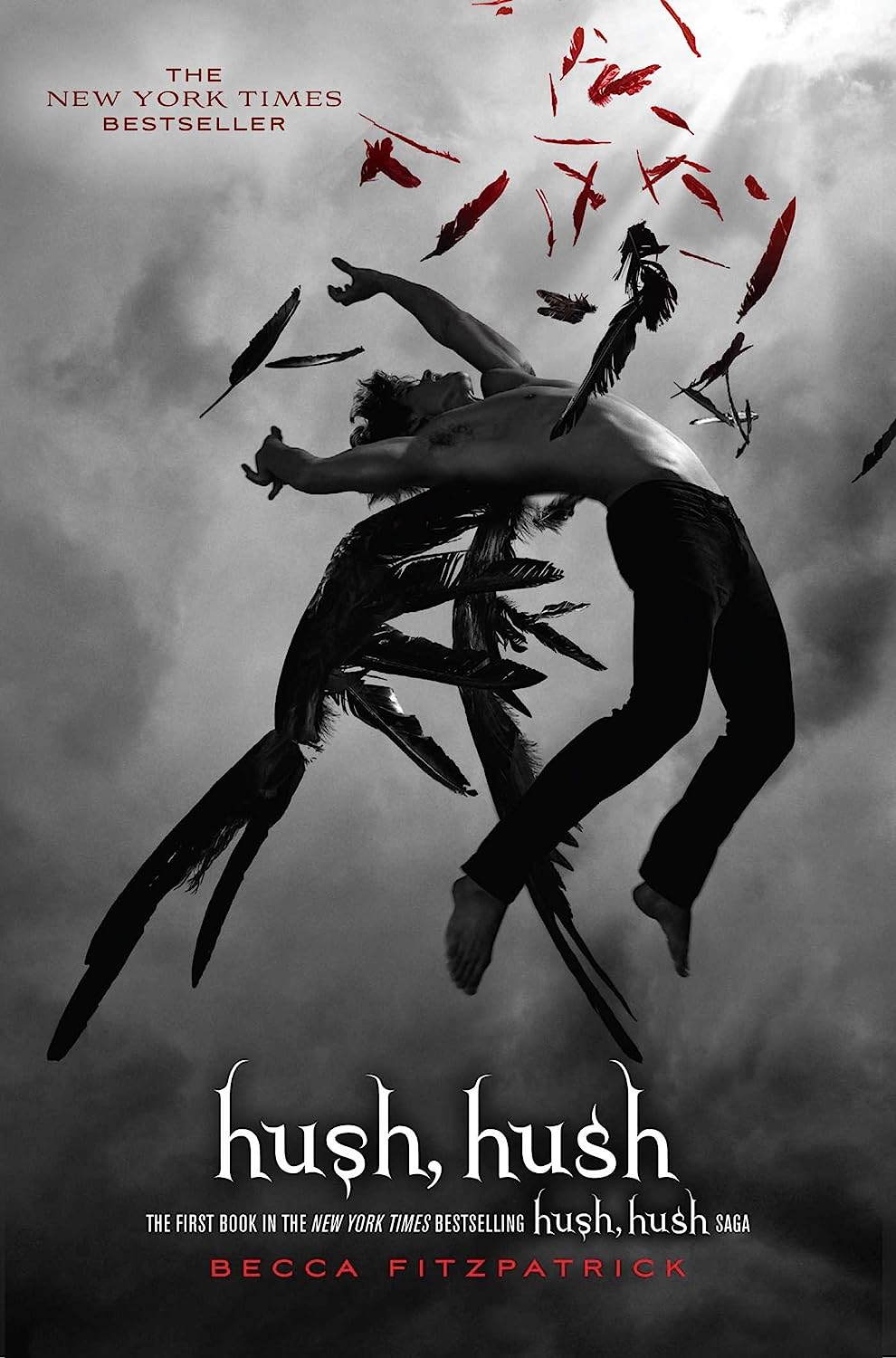 Sách Ngoại Văn - Hush, Hush (Becca Fitzpatrick)