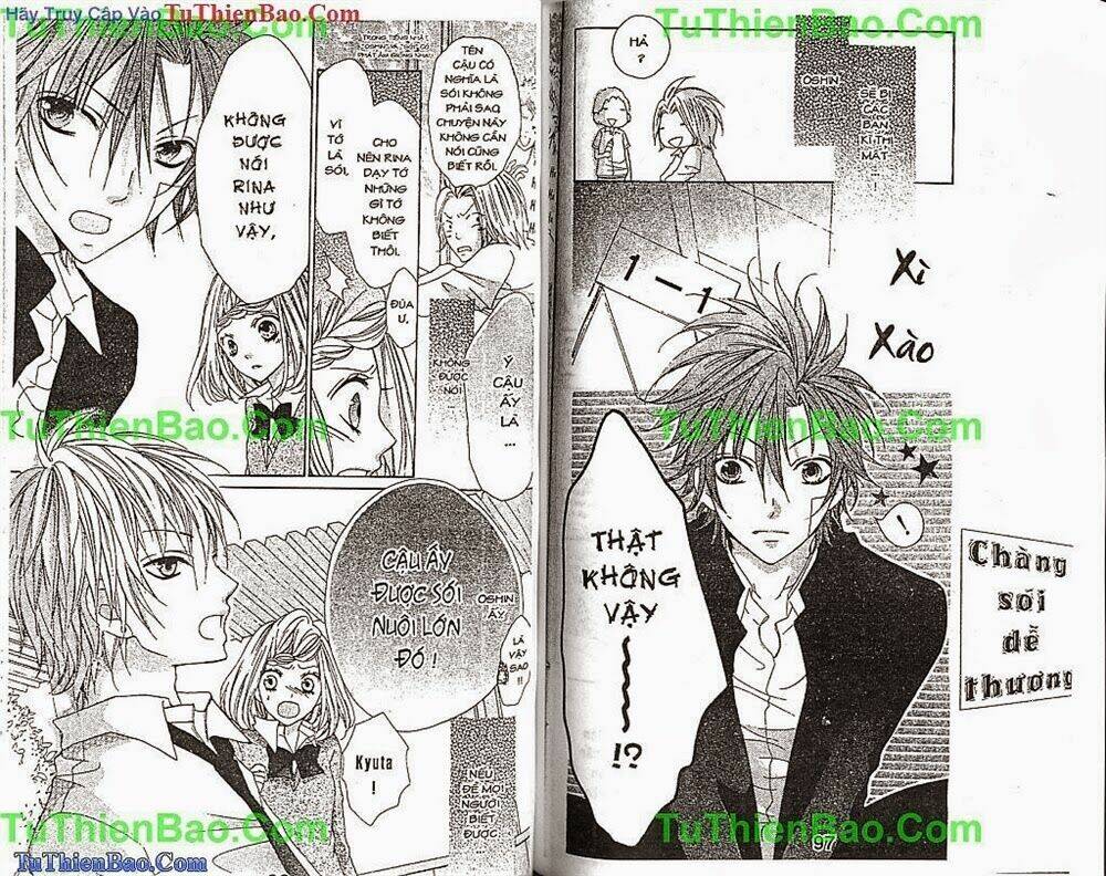 chàng sói dễ thương chapter 1 50