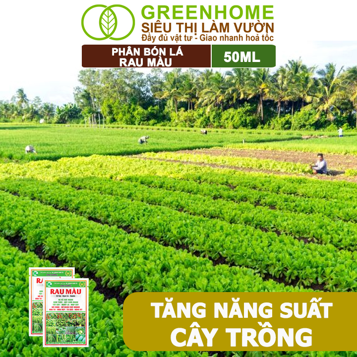Phân Bón Vi Sinh Rau Màu Greenhome, Gói 50ml, Giúp Nảy chồi, Mướt lá, Mập cây, To quả, Nặng ký