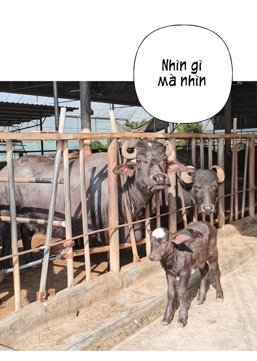 đừng nói yêu tôi chapter 33.1 20