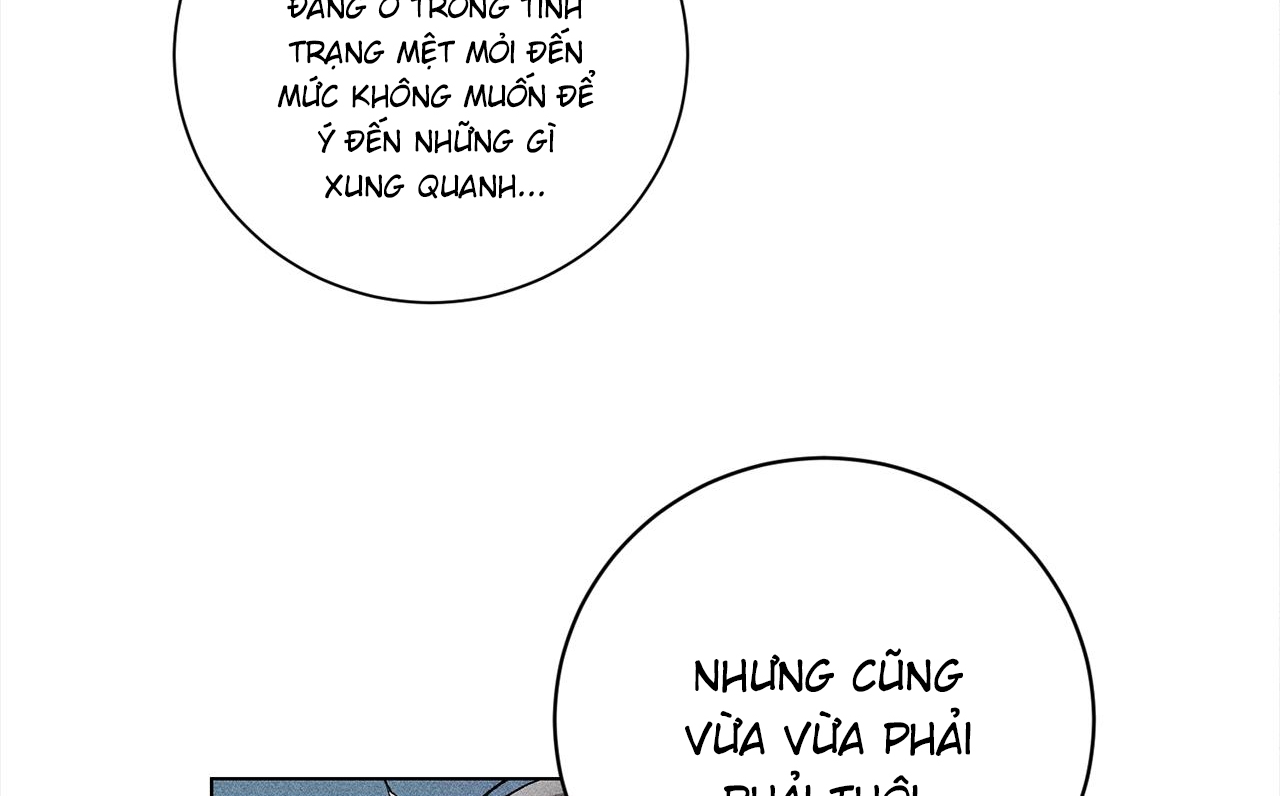 người yêu của anh chapter 11 77