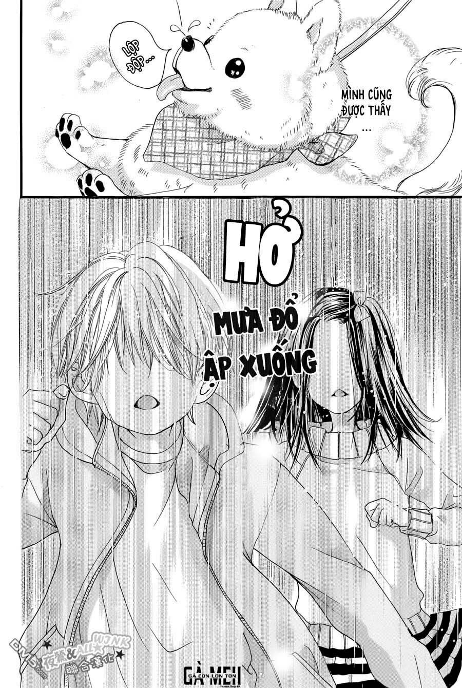 anh yêu em chapter 5 10