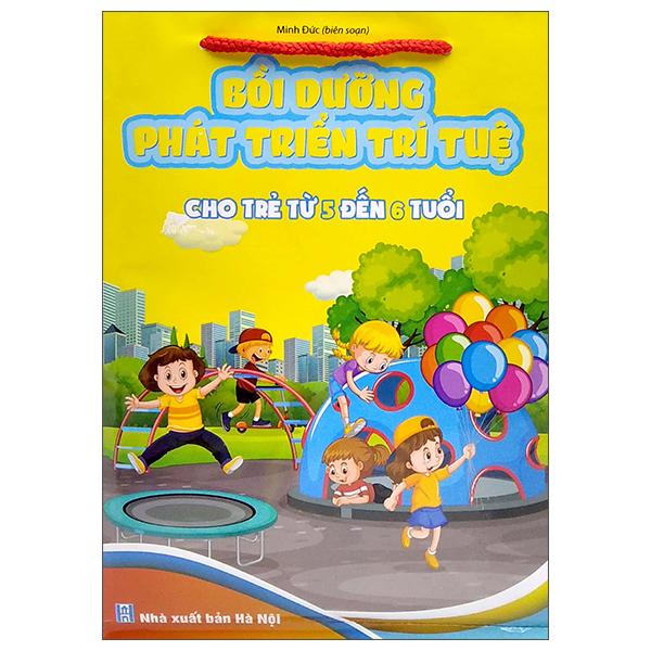 Bộ Túi Bồi Dưỡng Phát Triển Trí Tuệ Cho Trẻ Từ 5 Đến 6 Tuổi