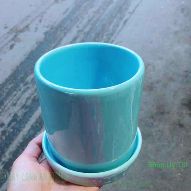 Chậu Trồng Cây