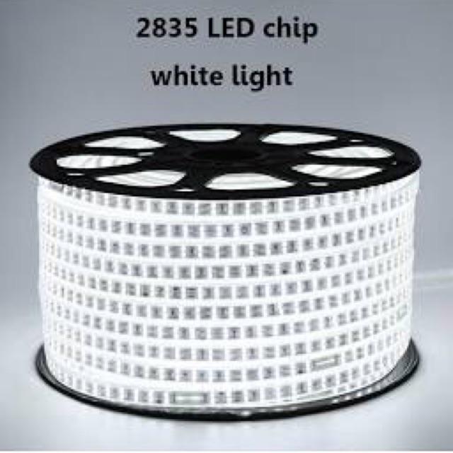 Dây Led Cuộn 100M 2835