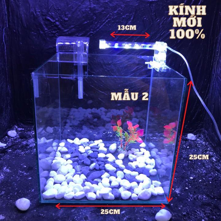 Bể cá cubic 25cm combo đầy đủ phụ kiện - bể cá mini - bể cá để bàn mini - bể cá mini
