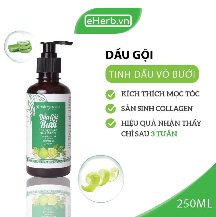 Bộ Dầu Gội Và Dầu Xả Bưởi Milaganics Ngăn Ngừa Rụng Tóc, Nuôi Dưỡng Và Kích Thích Mọc Tóc (500ml/Bộ)