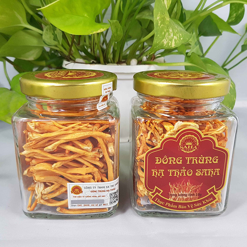 Đông trùng hạ thảo SAHA hộp gỗ 10g