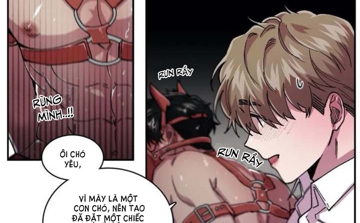 s flower chapter 66.2 57