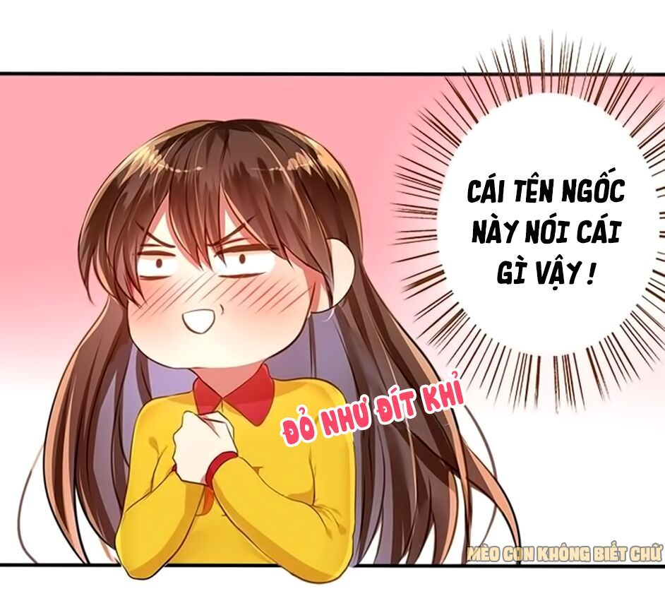 không có ssr làm sao để yêu chapter 11 7