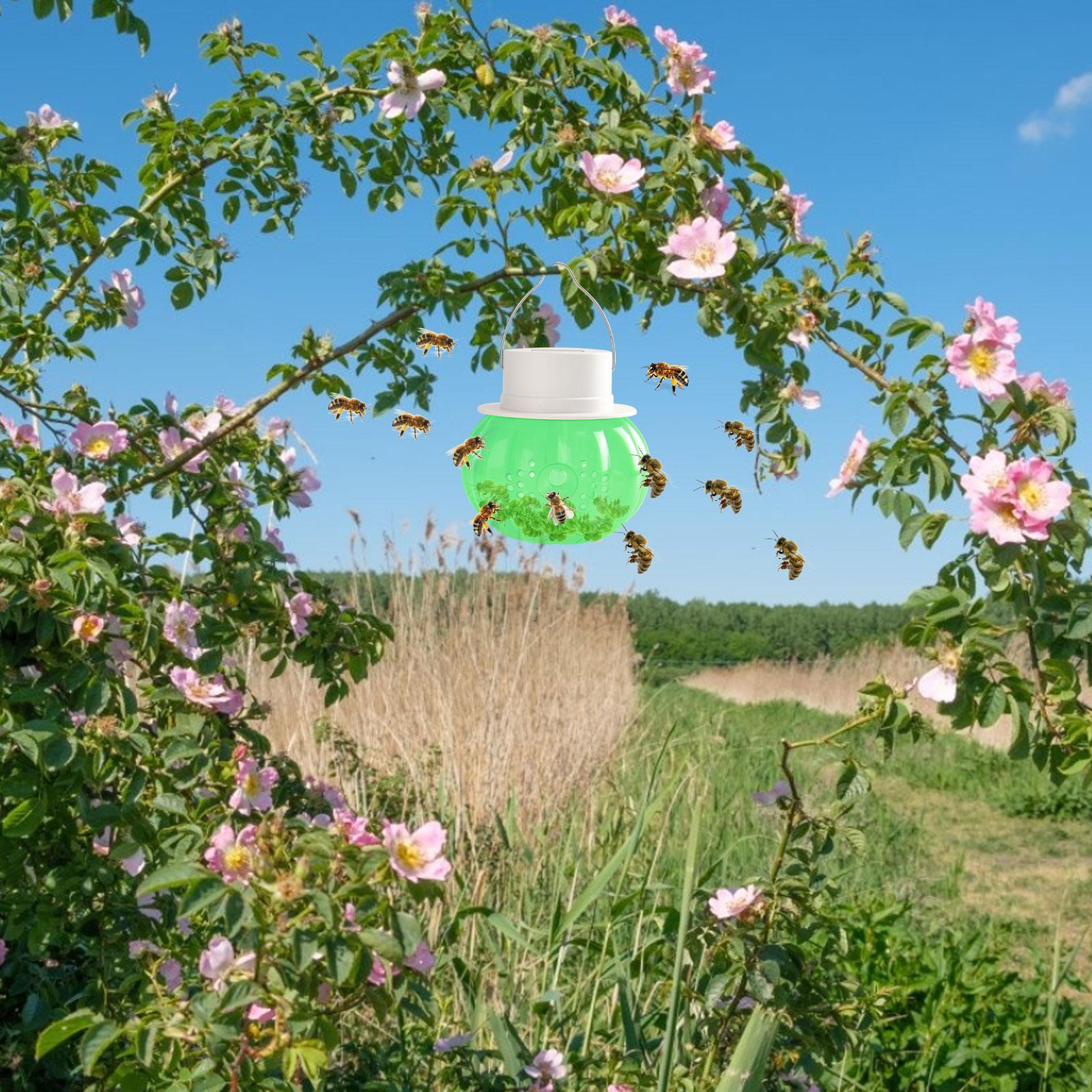 Bẫy ong thu sáp ngoài trời