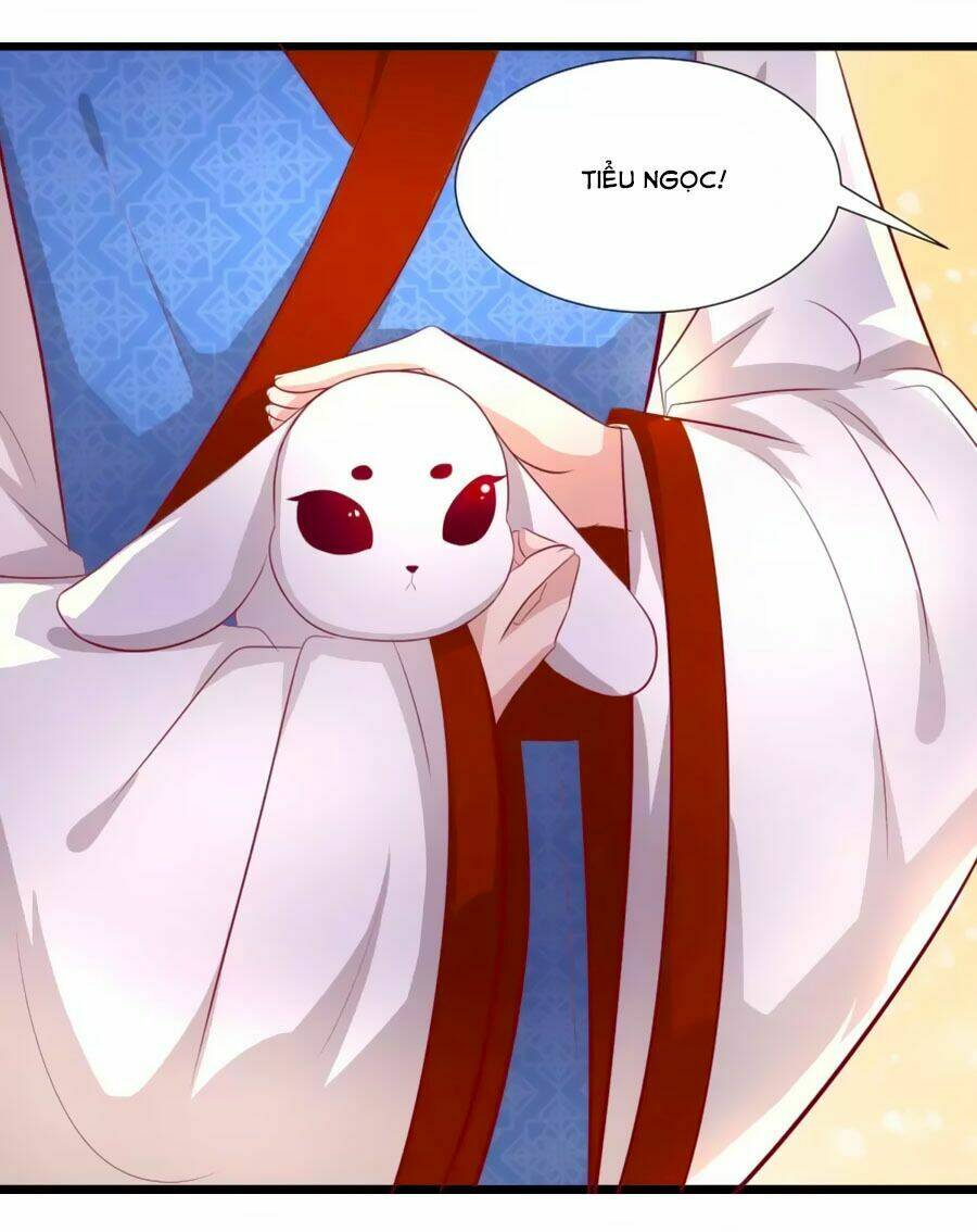 thỏ yêu tiểu vương phi chapter 55 21