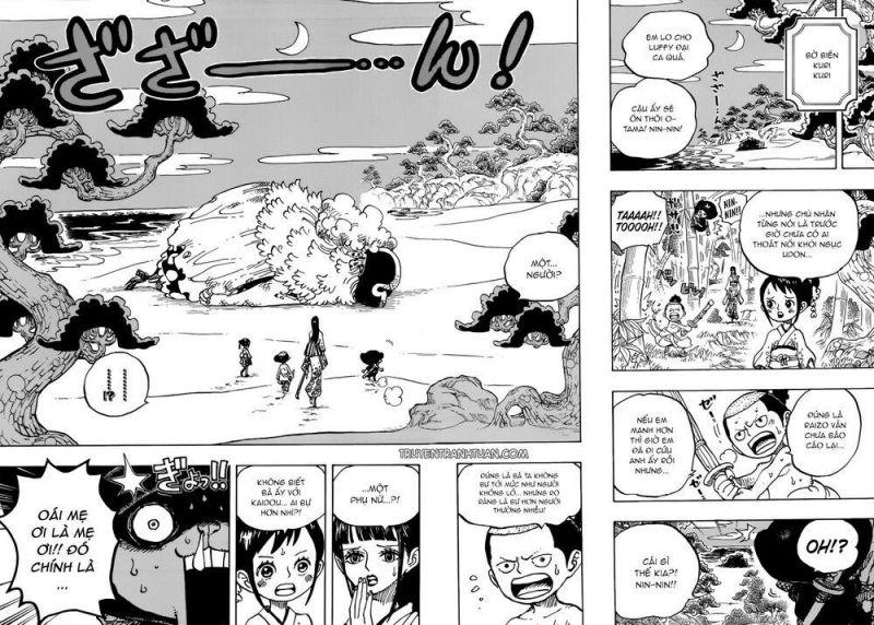 đảo hải tặc - one piece chapter 931 13