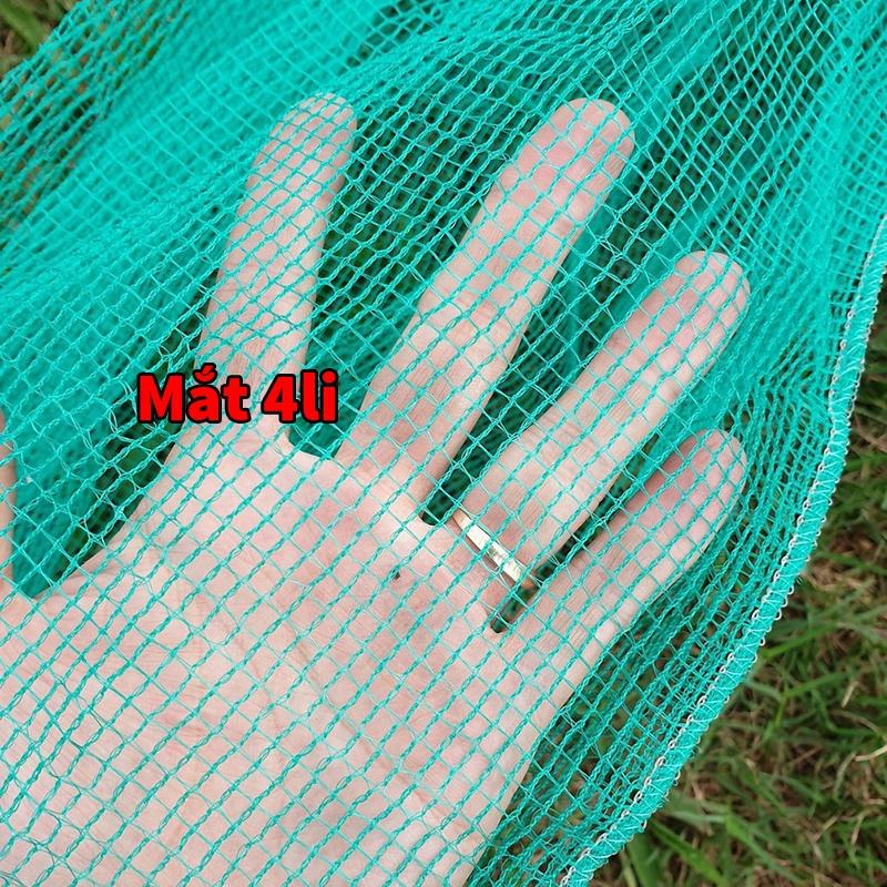 Dớn Chặn Sông Có Hom, Đăng Chặn Suối Bắt Tôm, Tép Cá
