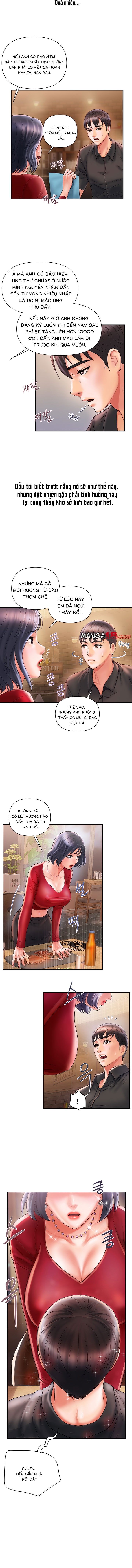 chất dẫn dục chapter 2 6
