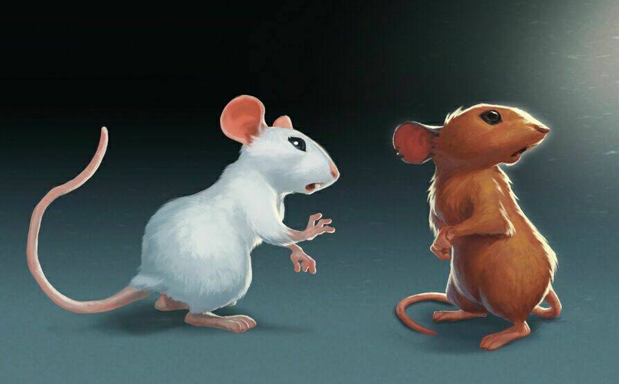 bọn chuột chapter 9.5 6